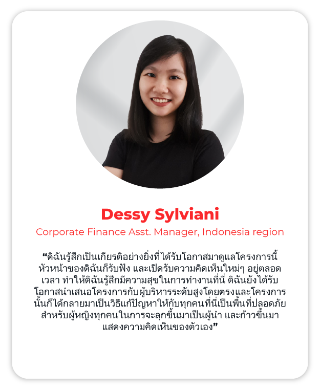 dessy-th